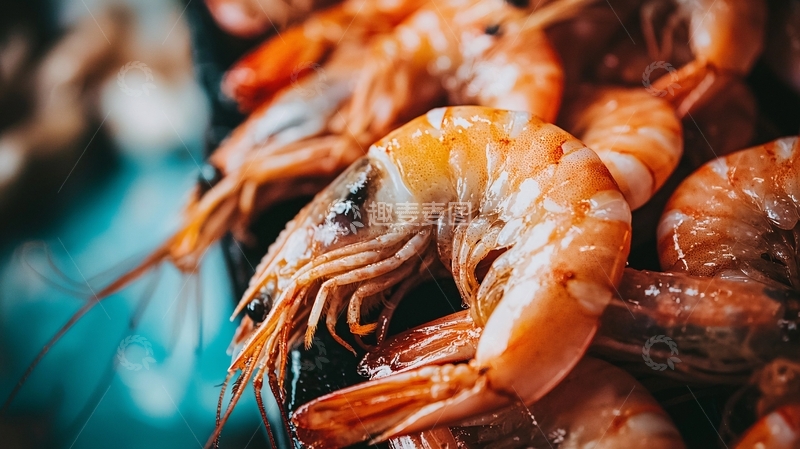 高清大图下载【趣麦麦图】鲜美多汁的大虾特写
