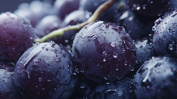 新鲜多汁的紫葡萄