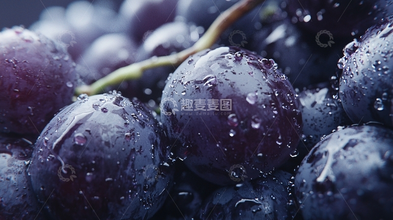 高清大图下载【趣麦麦图】新鲜多汁的紫葡萄