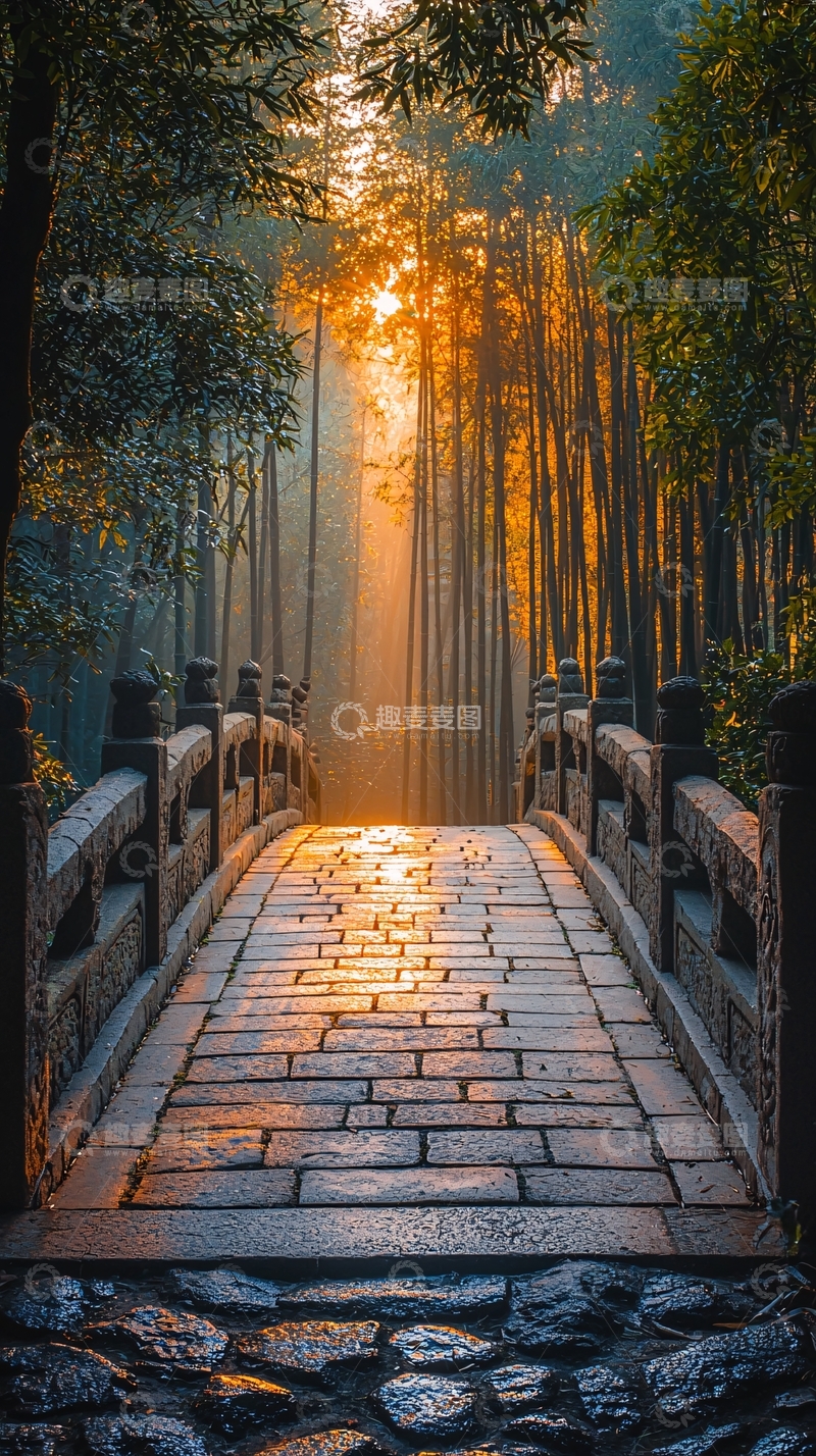 高清大图下载【趣麦麦图】竹林阳光下的石桥