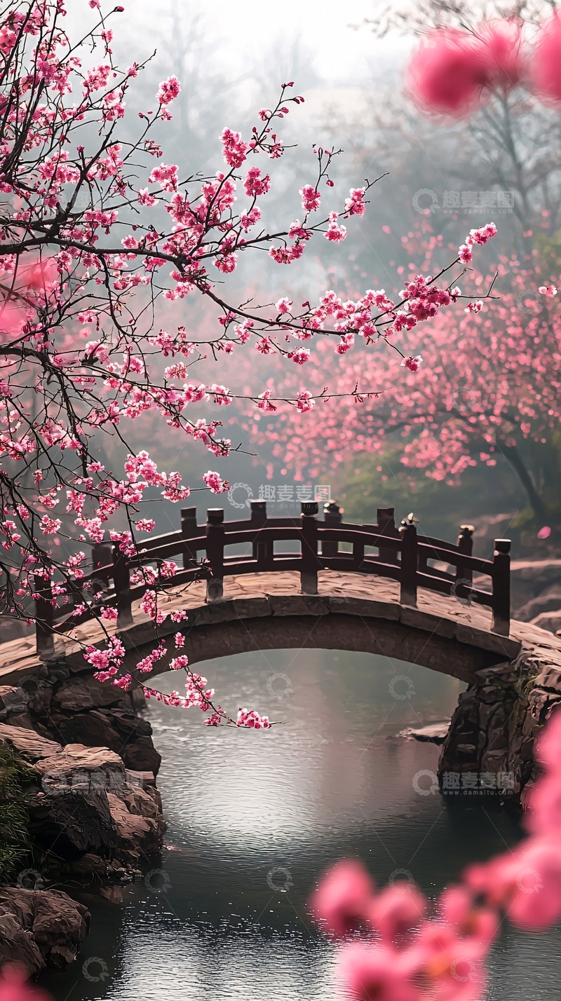 高清大图下载【趣麦麦图】小桥流水桃花盛开