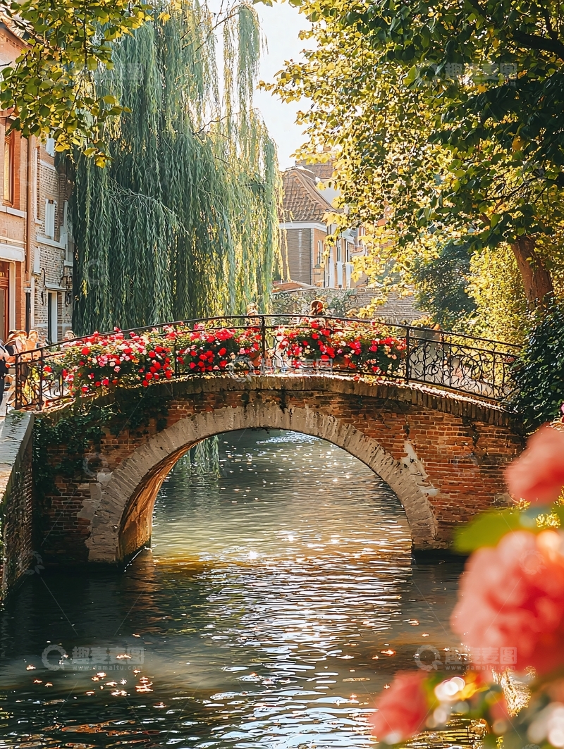 高清大图下载【趣麦麦图】阳光下的拱桥花卉