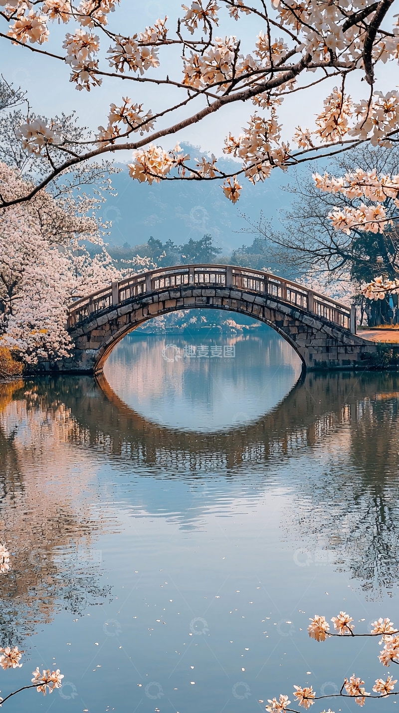 高清大图下载【趣麦麦图】樱花盛开的拱桥倒影