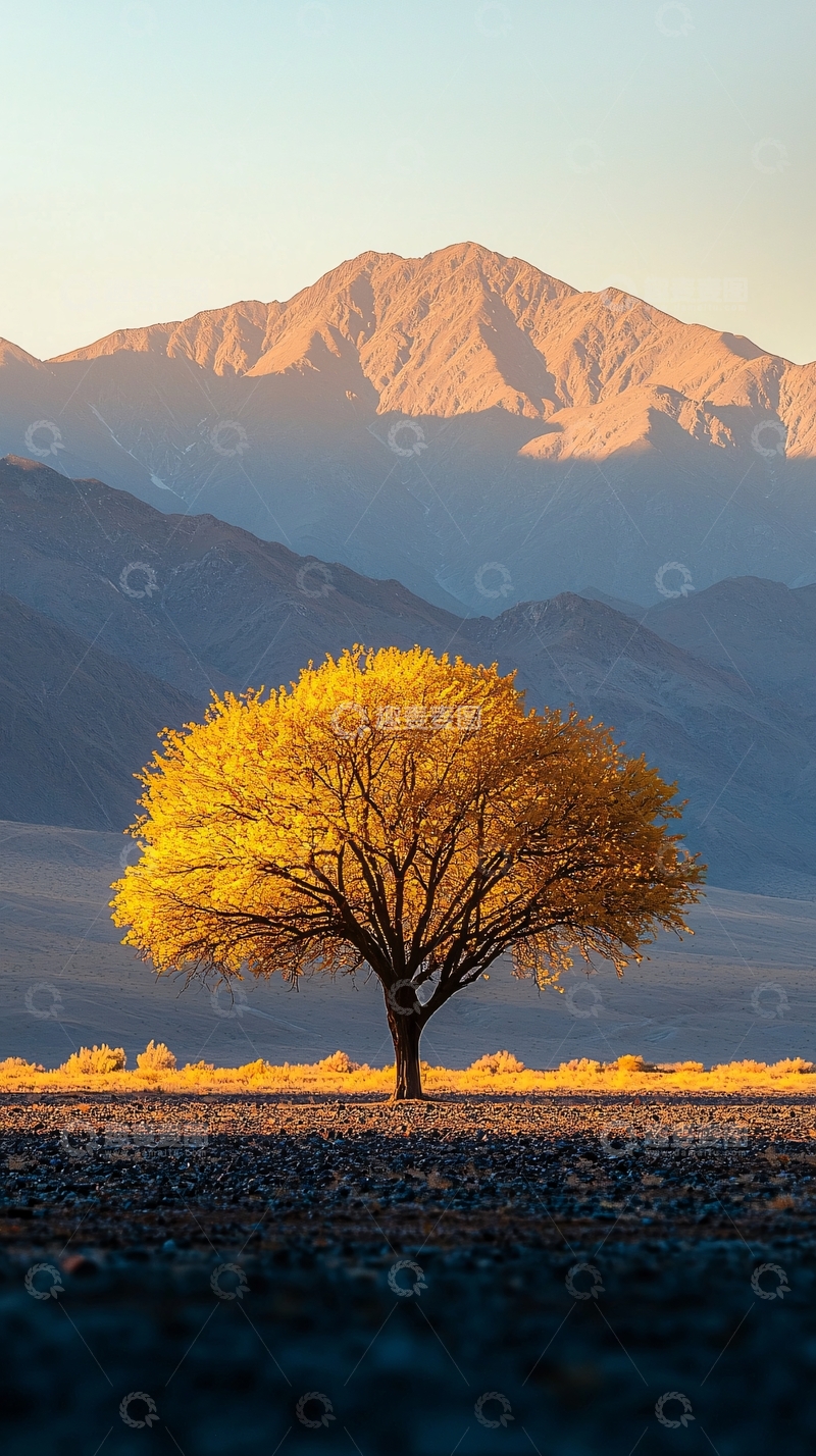 高清大图下载【趣麦麦图】金色树木山景风光
