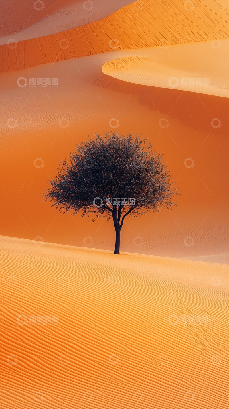 高清大图下载【趣麦麦图】沙漠中孤独的树