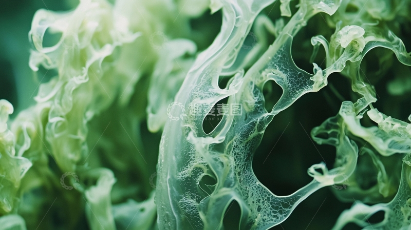 高清大图下载【趣麦麦图】抽象绿色纹理