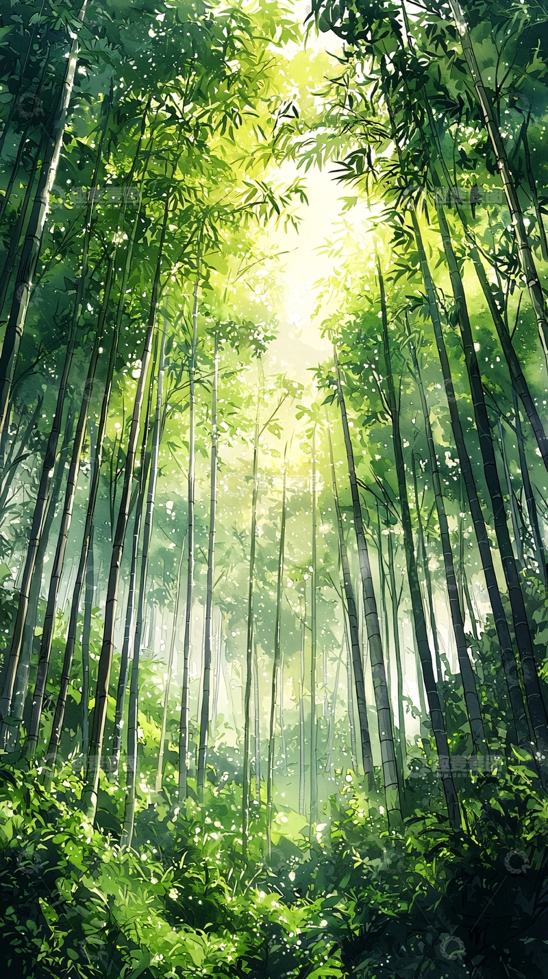 高清大图下载【趣麦麦图】阳光穿过茂密竹林
