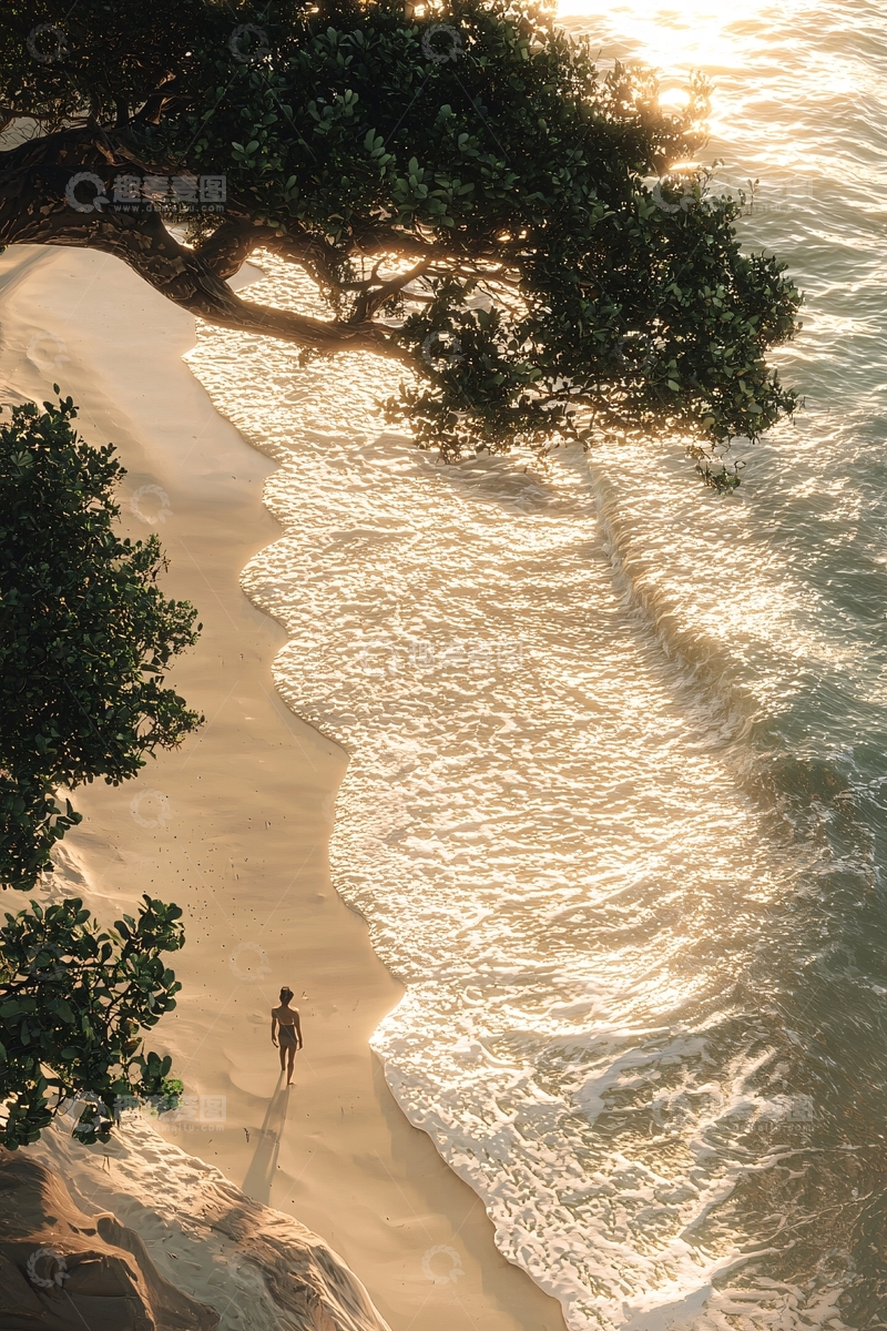 高清大图下载【趣麦麦图】海边树下孤独背影