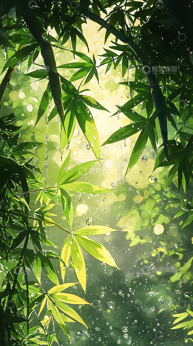 高清大图下载【趣麦麦图】翠绿树叶的光影