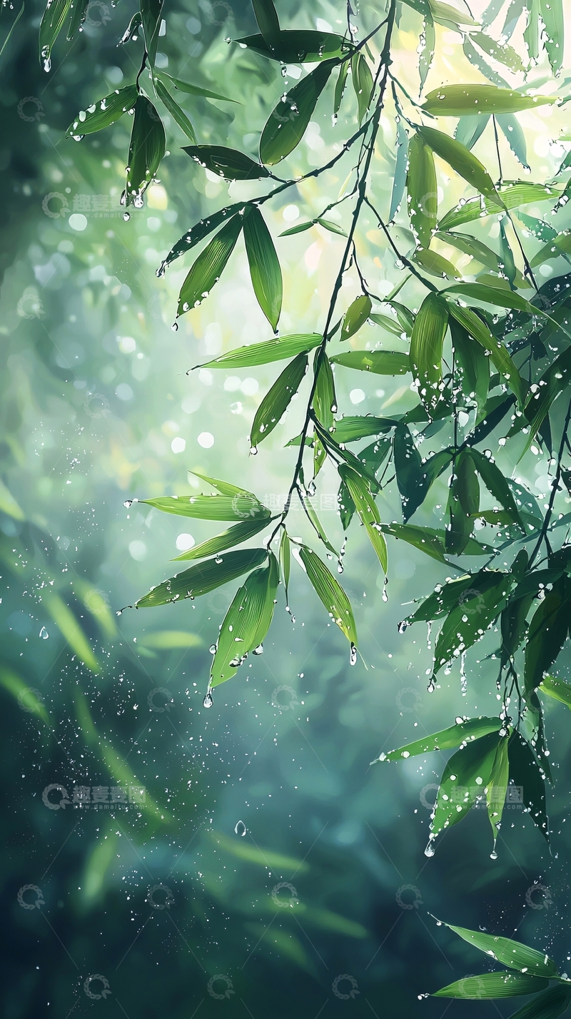 高清大图下载【趣麦麦图】雨后竹林