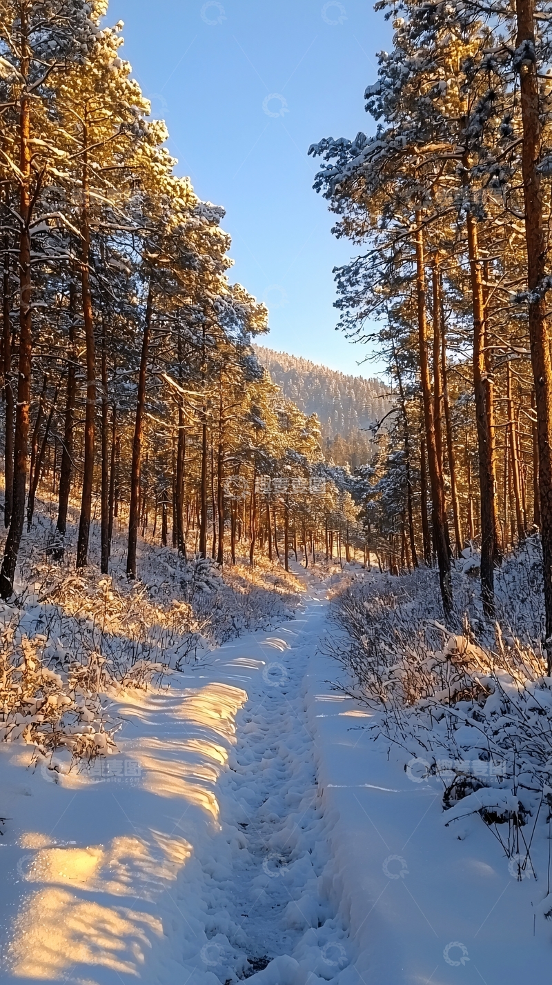 高清大图下载【趣麦麦图】雪覆盖的林间小路