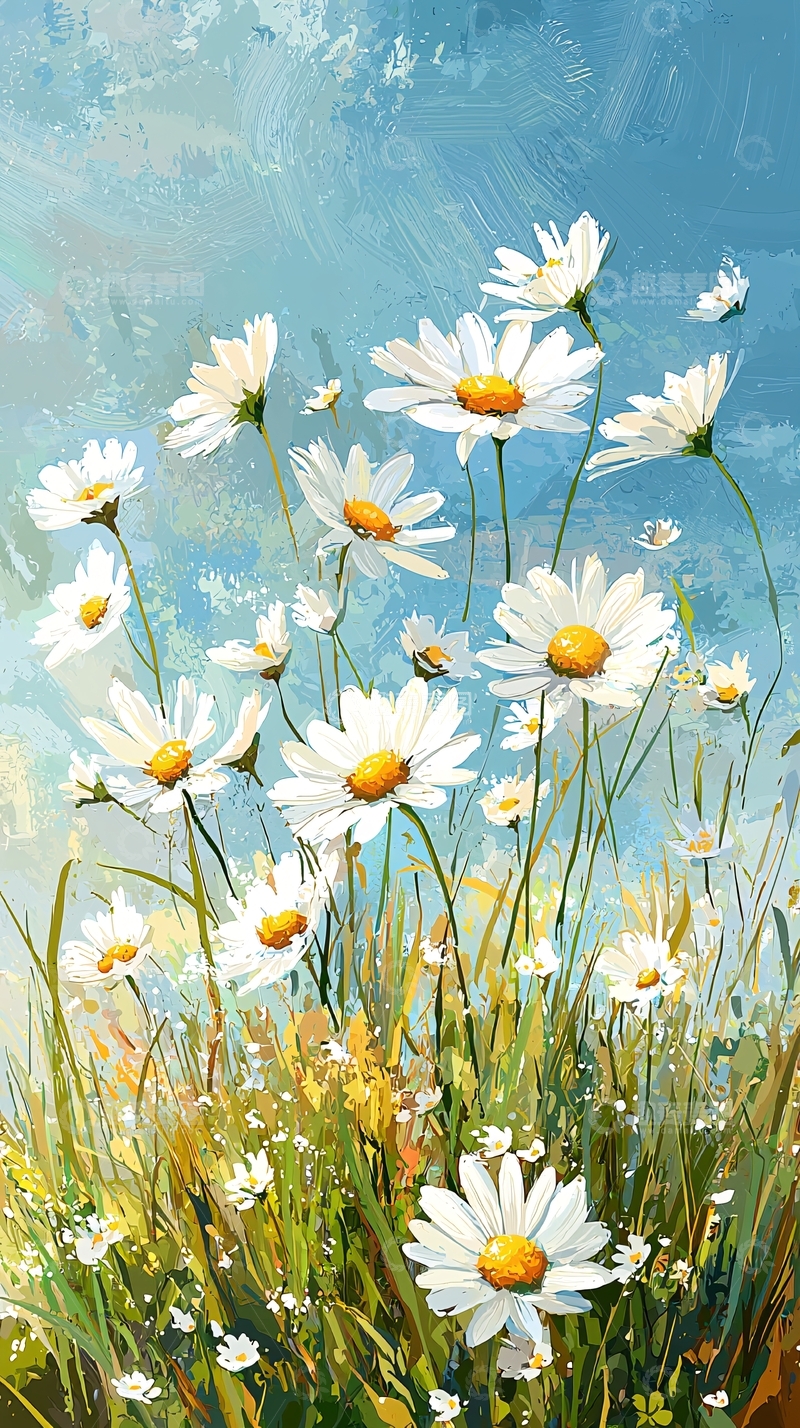 高清大图下载【趣麦麦图】清新淡雅雏菊花田