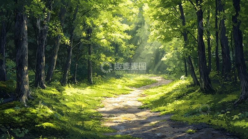 高清大图下载【趣麦麦图】阳光穿过森林小路