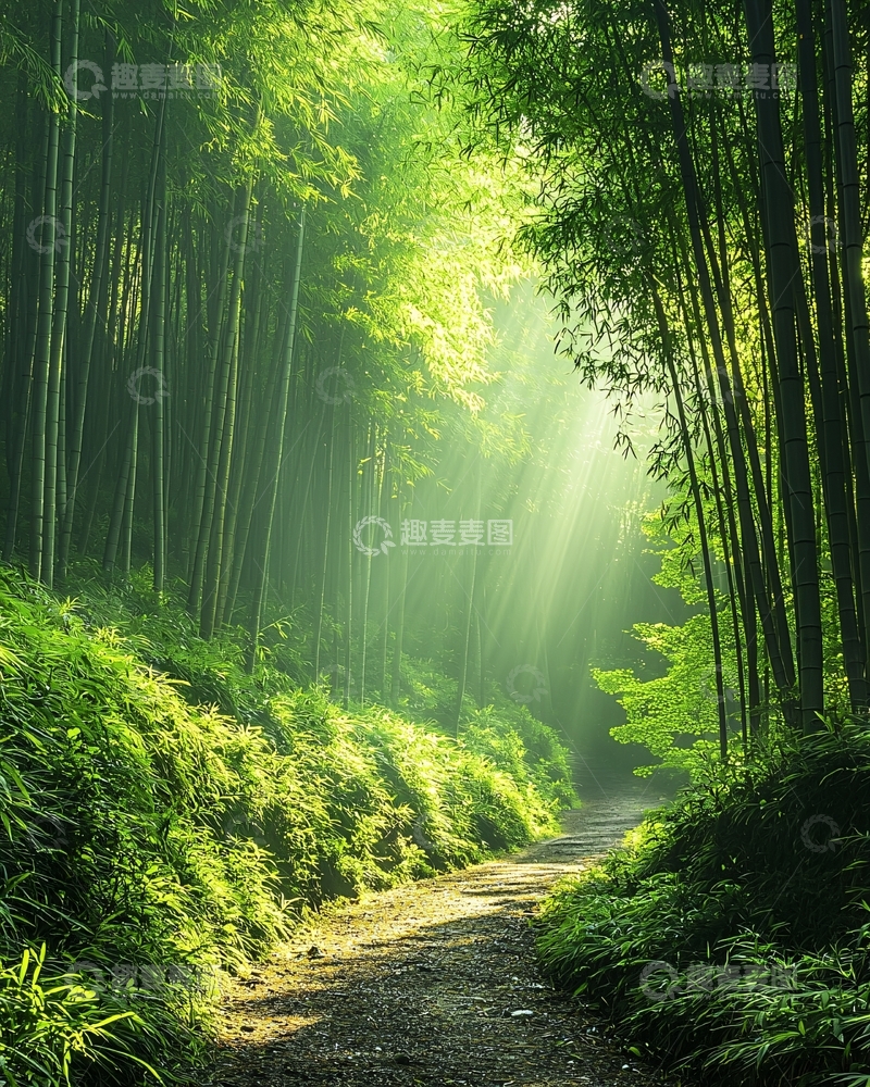 高清大图下载【趣麦麦图】竹林小径