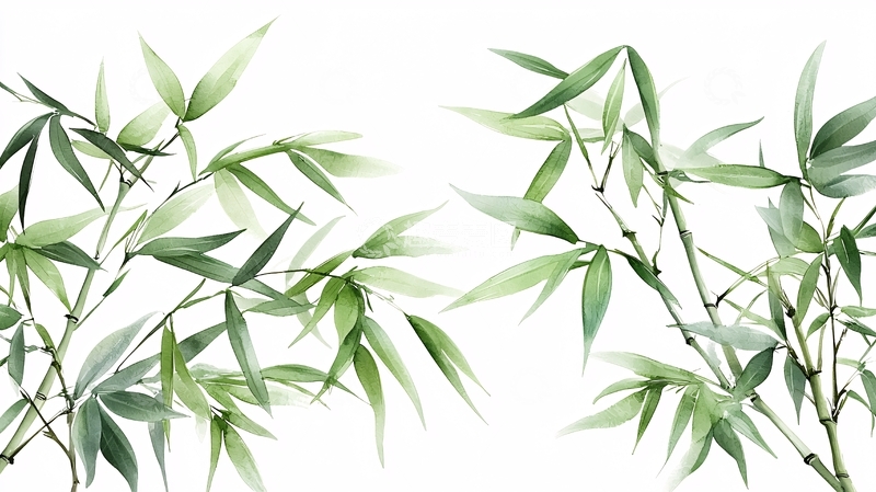高清大图下载【趣麦麦图】翠绿竹叶清新淡雅背景