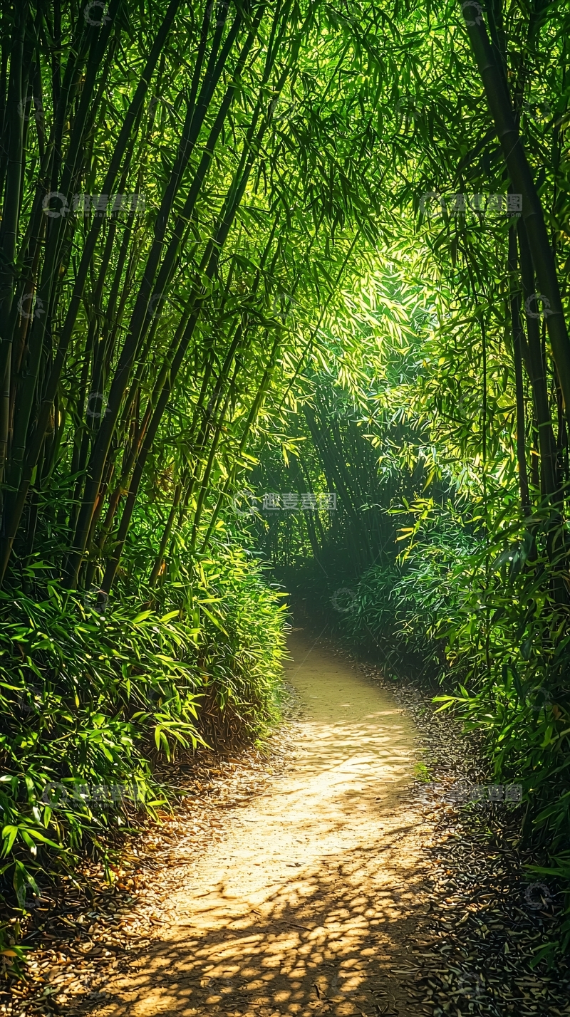 高清大图下载【趣麦麦图】竹林小径