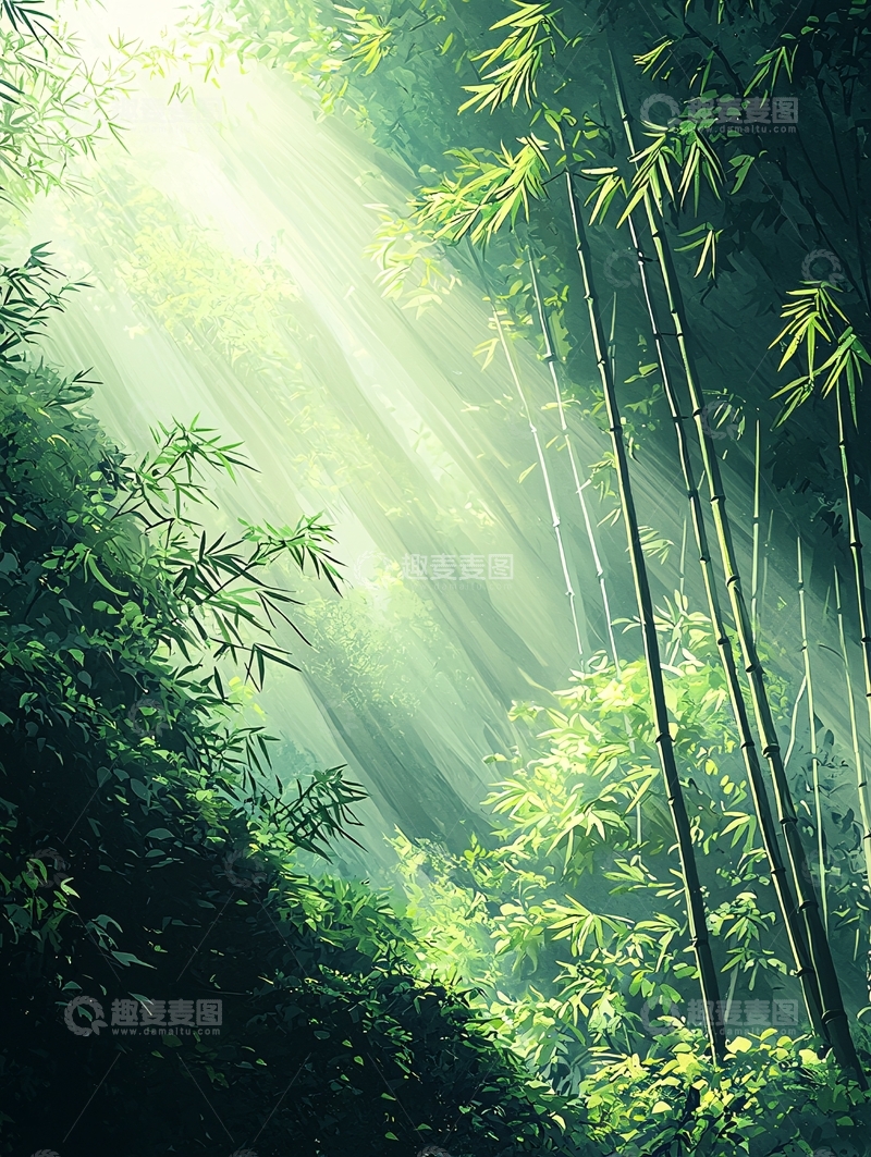 高清大图下载【趣麦麦图】阳光穿透竹林的唯美画面