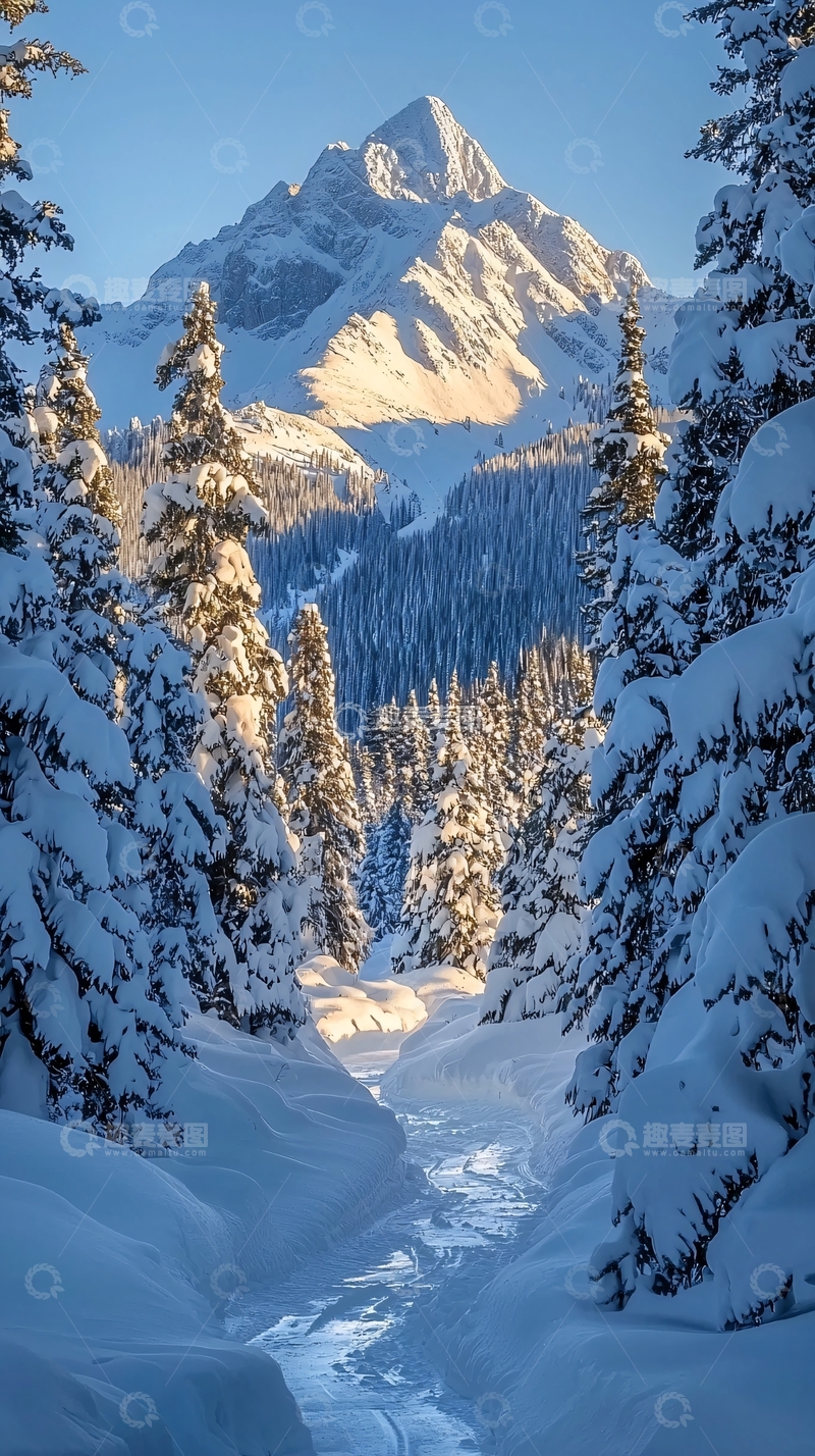 高清大图下载【趣麦麦图】雪山森林小路