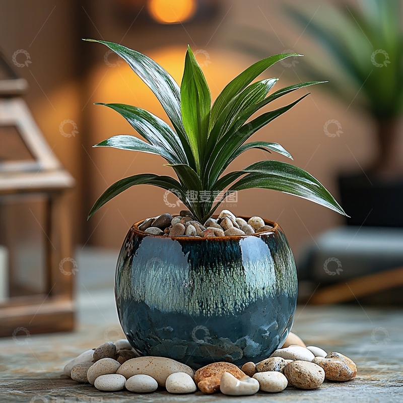 高清大图下载【趣麦麦图】绿叶植物盆栽