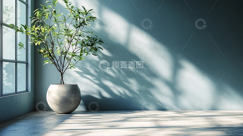 高清大图下载【趣麦麦图】阳光透过窗户洒在盆栽上