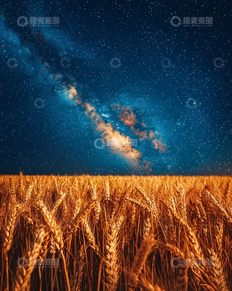 高清大图下载【趣麦麦图】麦田星空下的宁静
