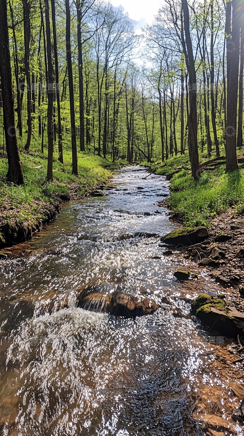 高清大图下载【趣麦麦图】林间溪流清澈流动
