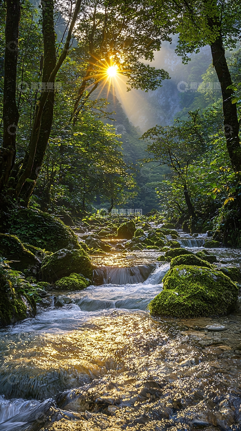高清大图下载【趣麦麦图】阳光穿透森林溪流