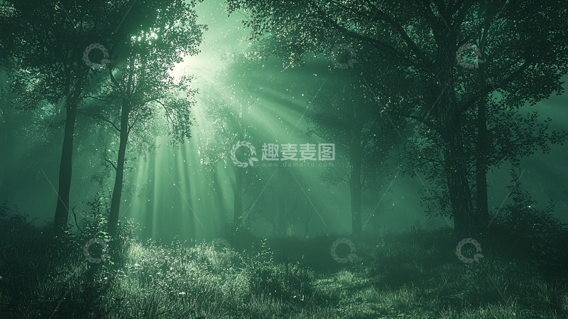 高清大图下载【趣麦麦图】雾气森林