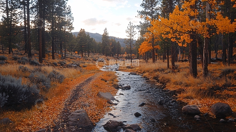 高清大图下载【趣麦麦图】秋日森林小溪