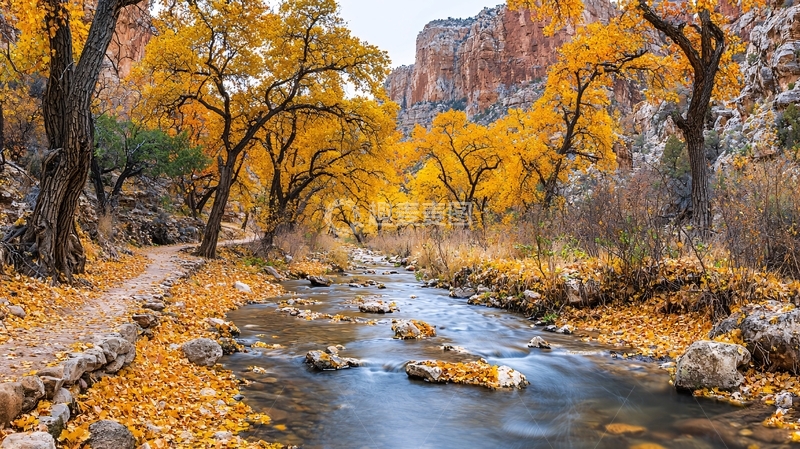 高清大图下载【趣麦麦图】秋日小溪边金黄树叶