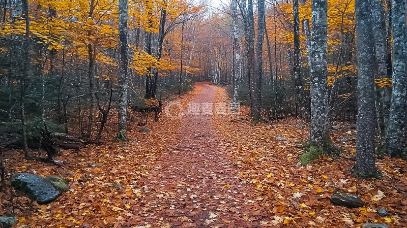 高清大图下载【趣麦麦图】秋日森林小路