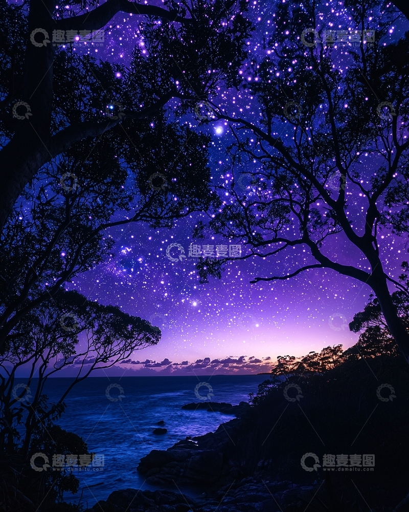高清大图下载【趣麦麦图】星空树影