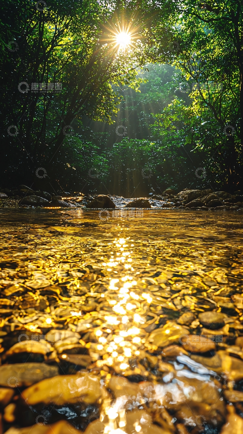 高清大图下载【趣麦麦图】阳光穿透森林的溪流