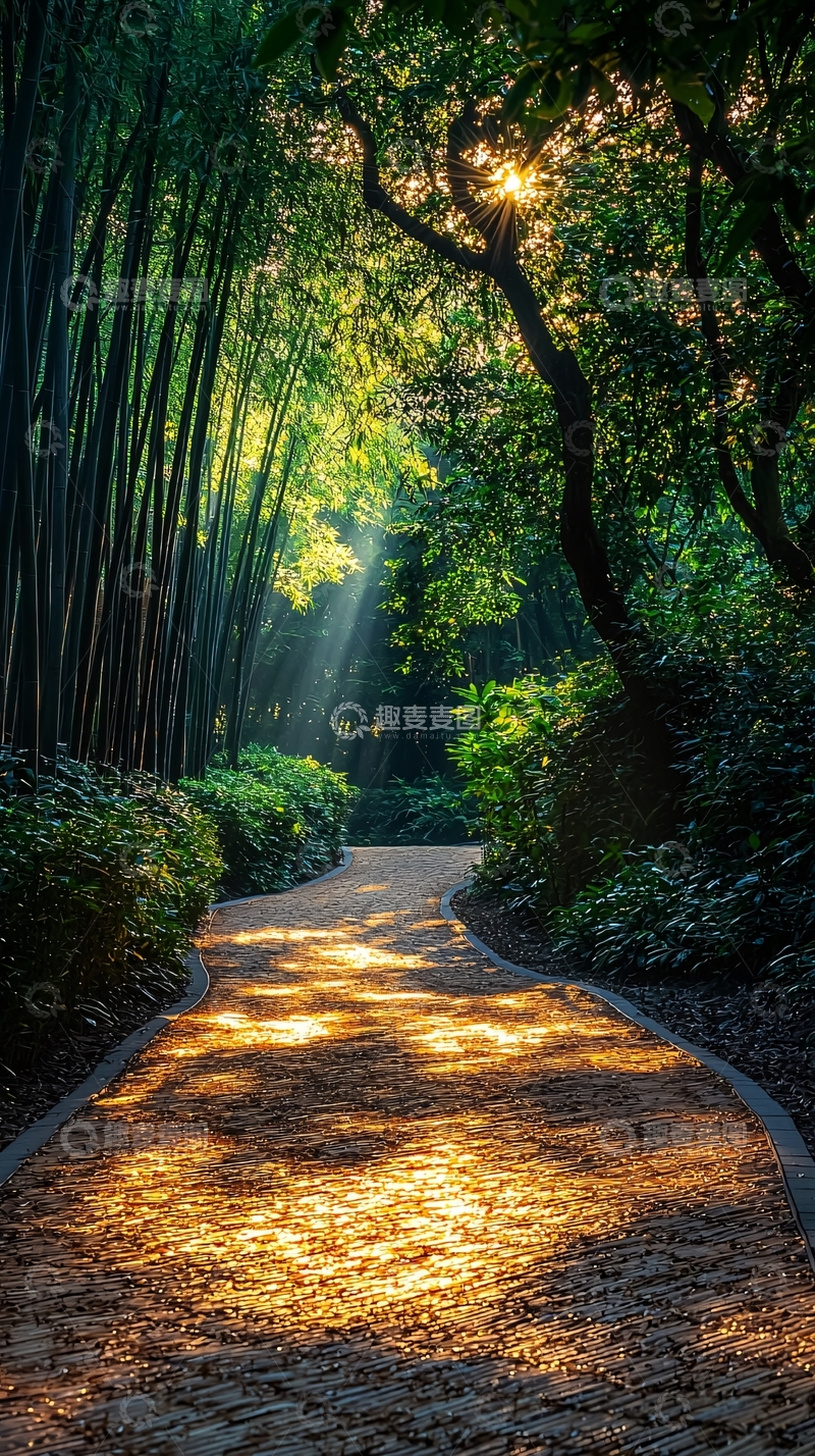 高清大图下载【趣麦麦图】阳光洒满小路
