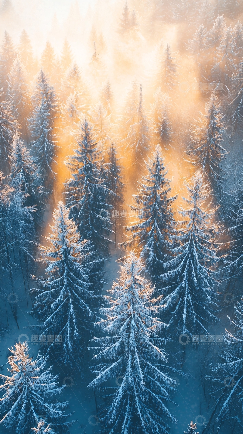 高清大图下载【趣麦麦图】冬日雪景森林