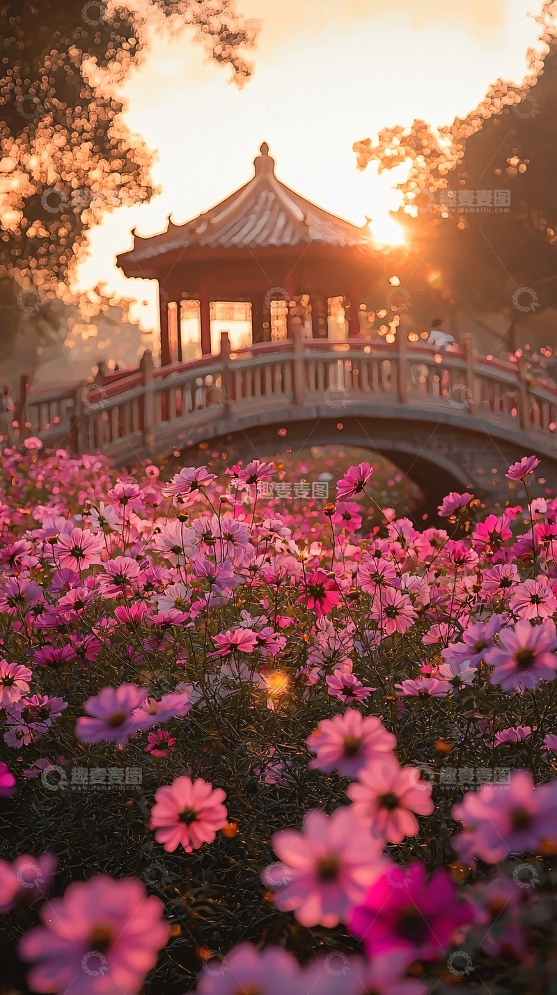 高清大图下载【趣麦麦图】夕阳下的亭台花海