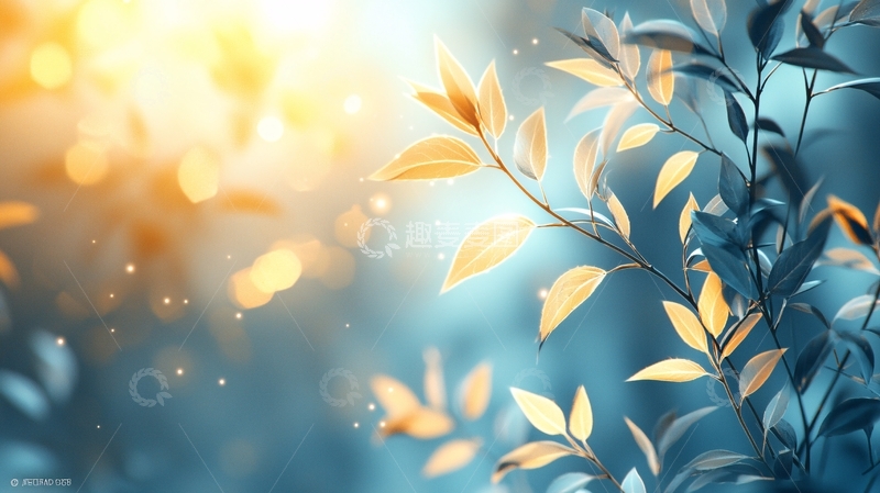 高清大图下载【趣麦麦图】阳光洒落枝叶