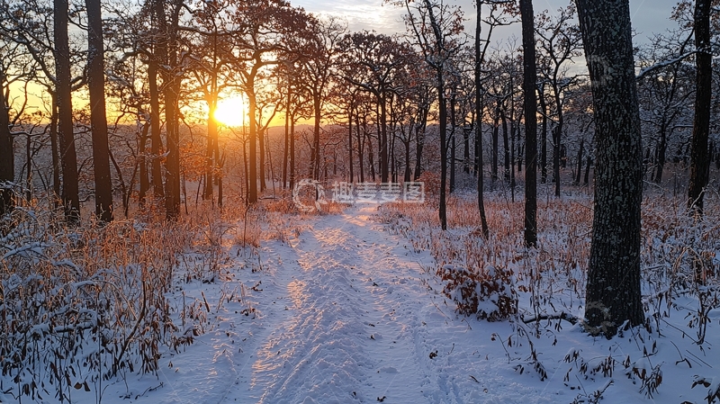 高清大图下载【趣麦麦图】冬日森林雪景日落