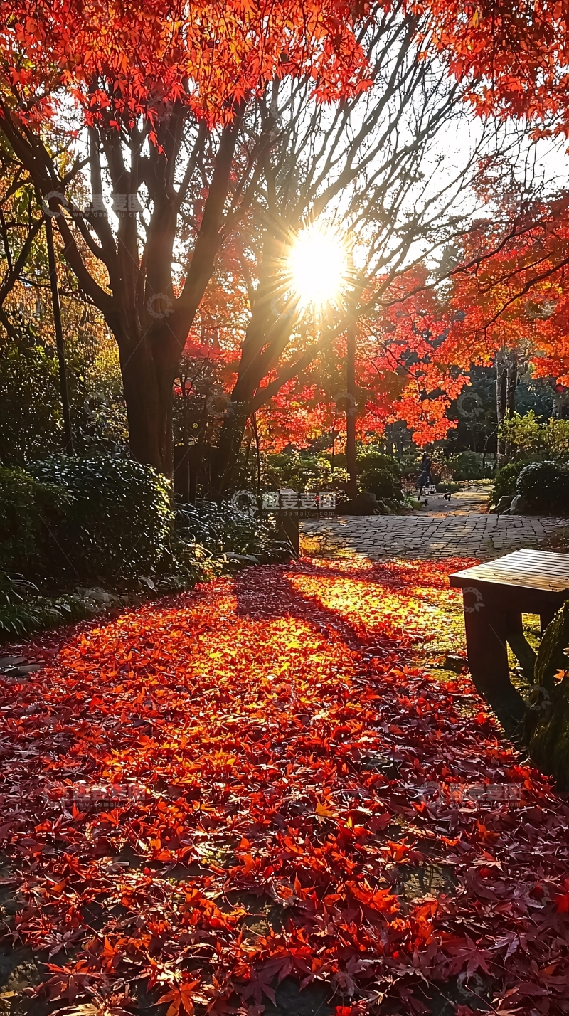 高清大图下载【趣麦麦图】红叶铺满地的秋日公园