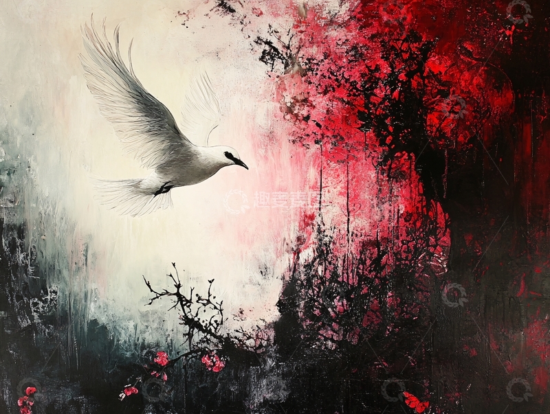 高清大图下载【趣麦麦图】白鸽飞翔