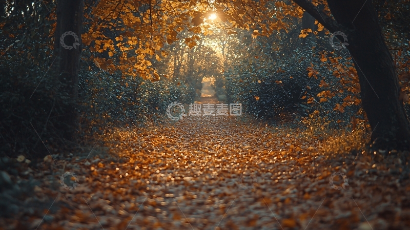 高清大图下载【趣麦麦图】秋叶小路