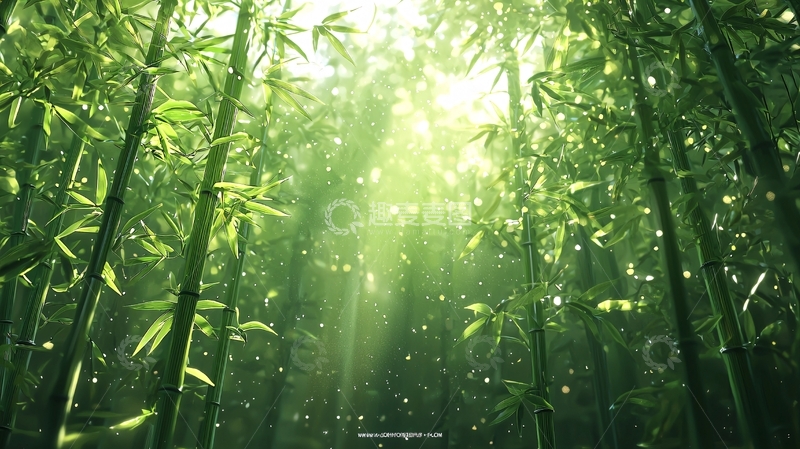 高清大图下载【趣麦麦图】阳光透过竹林