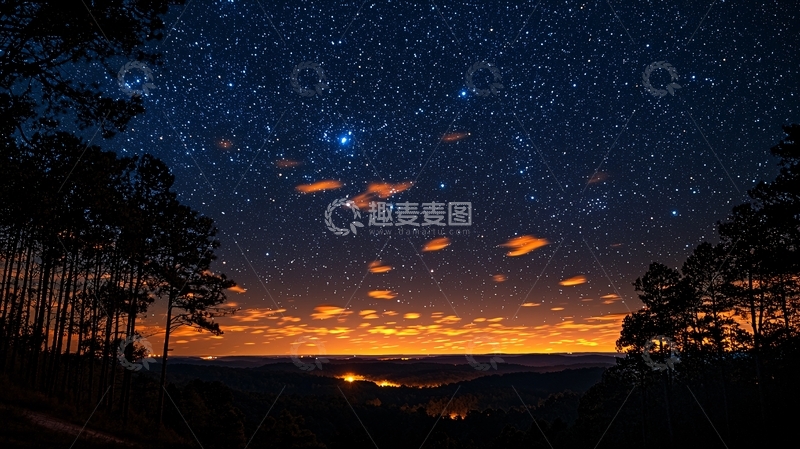 高清大图下载【趣麦麦图】星空下的树林