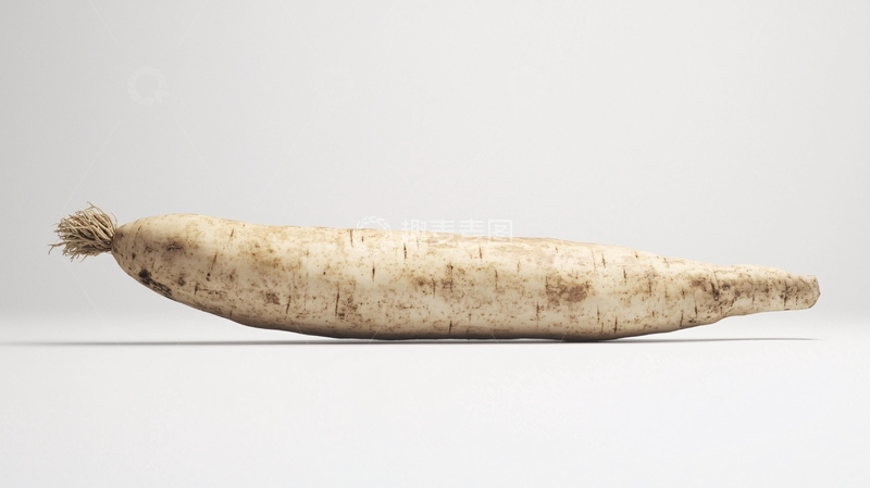 高清大图下载【趣麦麦图】一根完整的白色长形块根