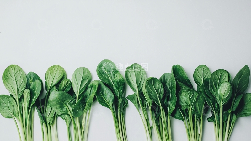 高清大图下载【趣麦麦图】绿叶蔬菜摆拍