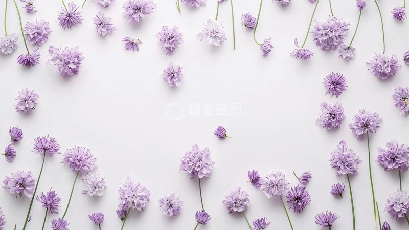 高清大图下载【趣麦麦图】紫色小花边框背景