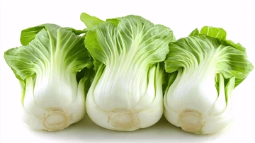 新鲜小白菜