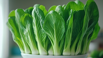 新鲜翠绿小白菜