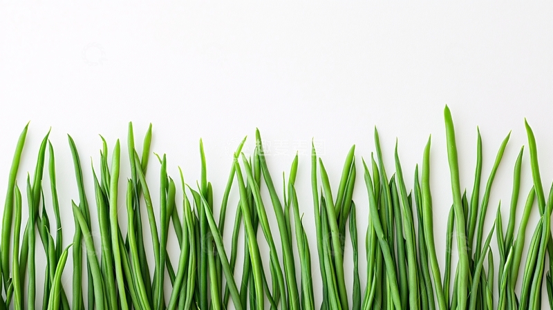 高清大图下载【趣麦麦图】白底绿色青草