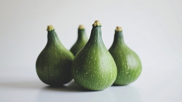 四个青绿色小南瓜